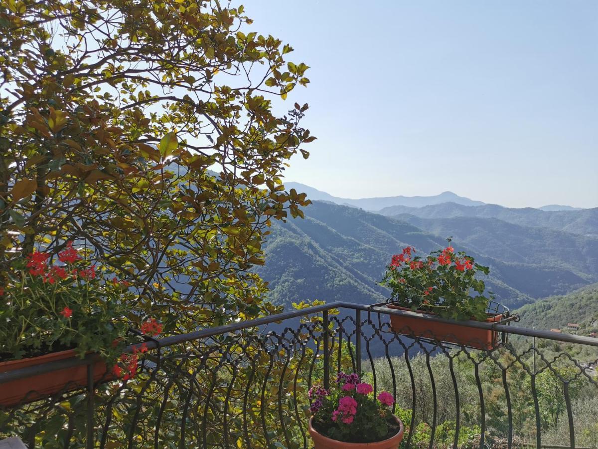 L'Albero Del Cioccolato Bed & Breakfast Pigna Eksteriør bilde