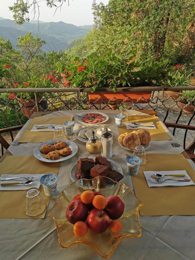 L'Albero Del Cioccolato Bed & Breakfast Pigna Eksteriør bilde