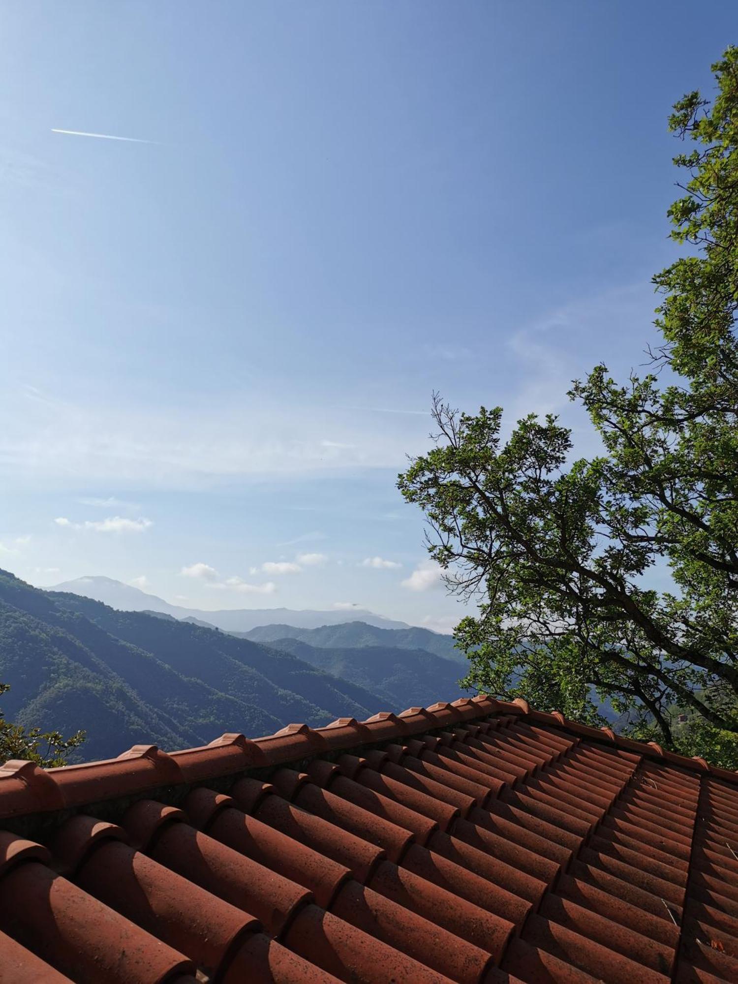 L'Albero Del Cioccolato Bed & Breakfast Pigna Rom bilde